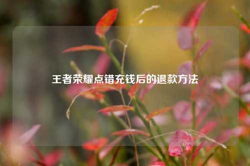王者荣耀点错充钱后的退款方法