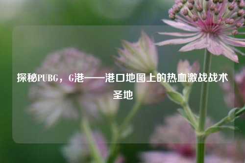 探秘PUBG,G港——港口地图上的热血激战战术圣地