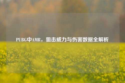PUBG中AMR,狙击威力与伤害数据全解析
