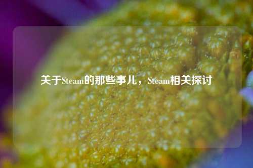 关于Steam的那些事儿,Steam相关探讨