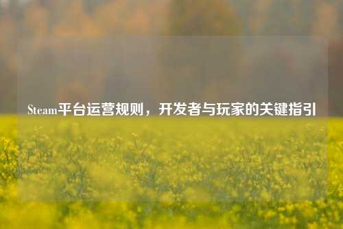 Steam平台运营规则,开发者与玩家的关键指引