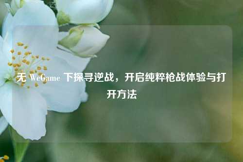 无 WeGame 下探寻逆战,开启纯粹枪战体验与打开方法