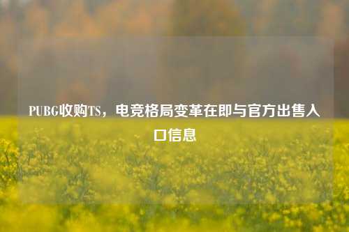 PUBG收购TS,电竞格局变革在即与官方出售入口信息
