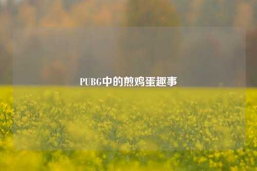 PUBG中的煎鸡蛋趣事