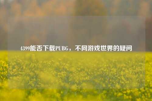 4399能否下载PUBG,不同游戏世界的疑问