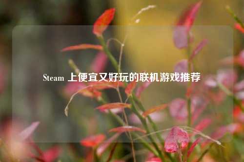 Steam 上便宜又好玩的联机游戏推荐