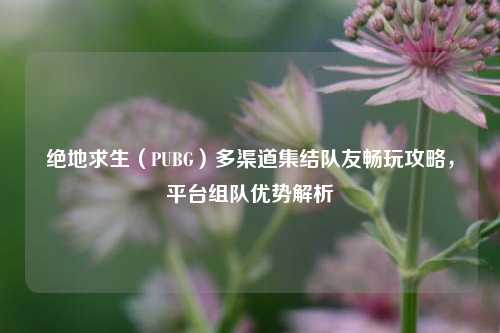 绝地求生(PUBG)多渠道集结队友畅玩攻略,平台组队优势解析
