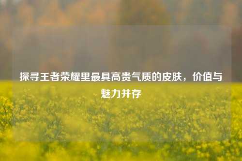 探寻王者荣耀里最具高贵气质的皮肤,价值与魅力并存