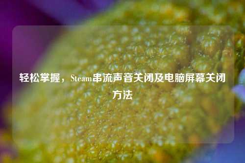 轻松掌握,Steam串流声音关闭及电脑屏幕关闭方法