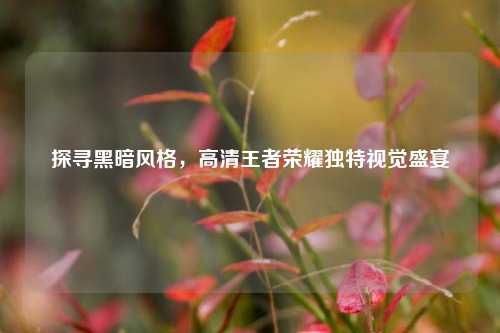 探寻黑暗风格,高清王者荣耀独特视觉盛宴