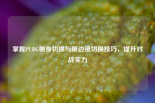 掌握PUBG侧身切换与侧边镜切换技巧,提升对战实力