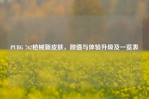 PUBG 762枪械新皮肤,颜值与体验升级及一览表
