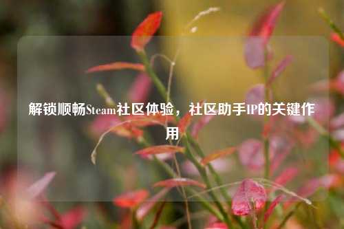 解锁顺畅Steam社区体验，社区助手IP的关键作用