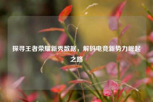 探寻王者荣耀新秀数据,解码电竞新势力崛起之路