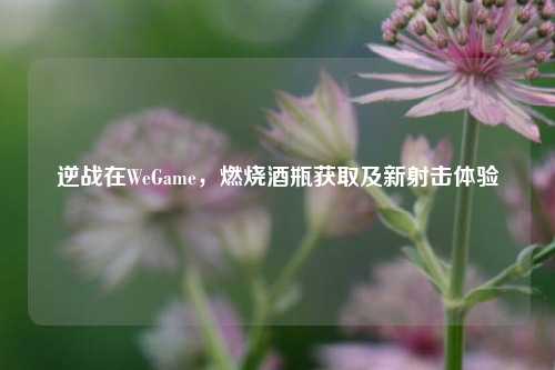 逆战在WeGame,燃烧酒瓶获取及新射击体验