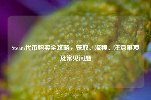 Steam代币购买全攻略,获取、流程、注意事项及常见问题