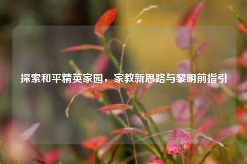 探索和平精英家园，家教新思路与黎明前指引