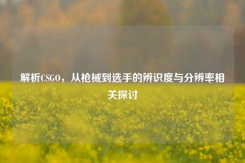 解析CSGO,从枪械到选手的辨识度与分辨率相关探讨