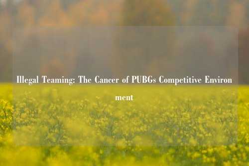Illegal Teaming: The Cancer of PUBGs Competitive Environment