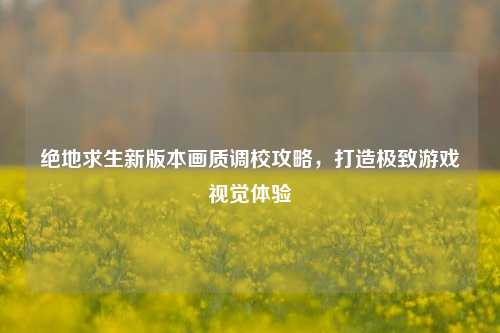 绝地求生新版本画质调校攻略,打造极致游戏视觉体验
