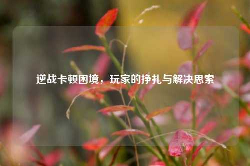 逆战卡顿困境,玩家的挣扎与解决思索