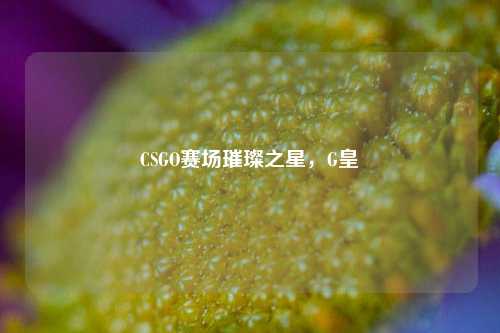 CSGO赛场璀璨之星,G皇