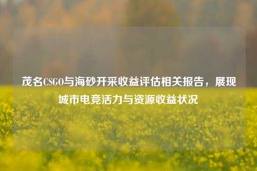 茂名CSGO与海砂开采收益评估相关报告,展现城市电竞活力与资源收益状况