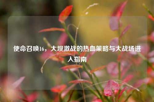 使命召唤16,大坝激战的热血策略与大战场进入指南