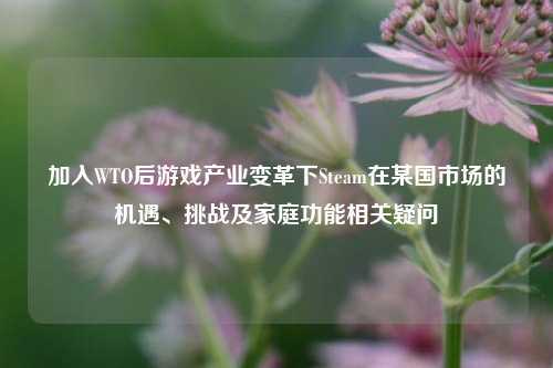 加入WTO后游戏产业变革下Steam在某国市场的机遇、挑战及家庭功能相关疑问