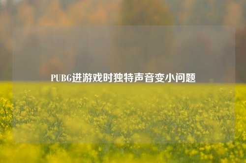 PUBG进游戏时独特声音变小问题