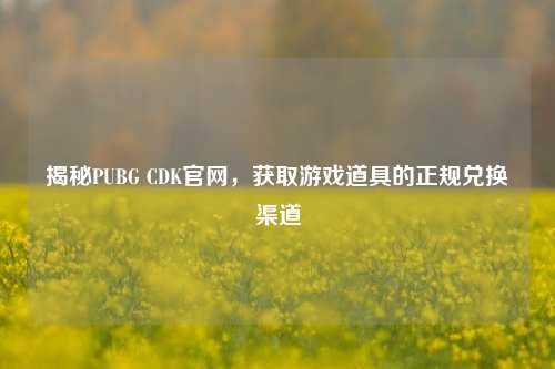 揭秘PUBG CDK官网,获取游戏道具的正规兑换渠道