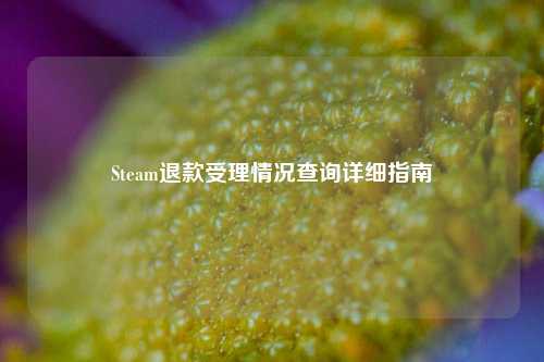 Steam退款受理情况查询详细指南