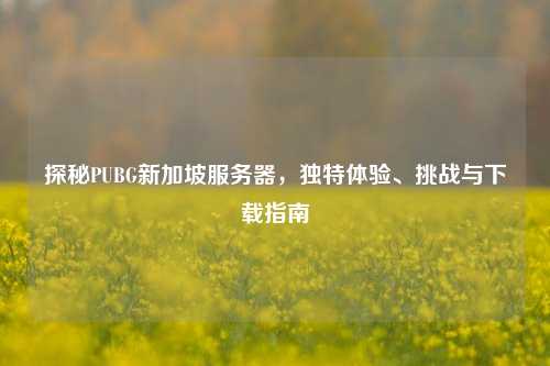 探秘PUBG新加坡服务器,独特体验、挑战与下载指南