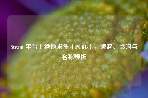 Steam 平台上绝地求生(PUBG),崛起、影响与名称辨析