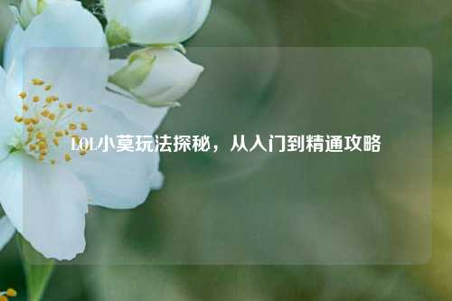 LOL小莫玩法探秘，从入门到精通攻略