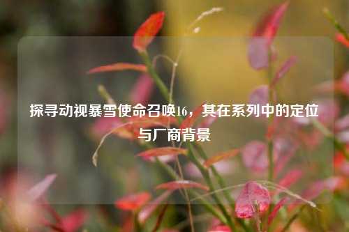 探寻动视暴雪使命召唤16，其在系列中的定位与厂商背景