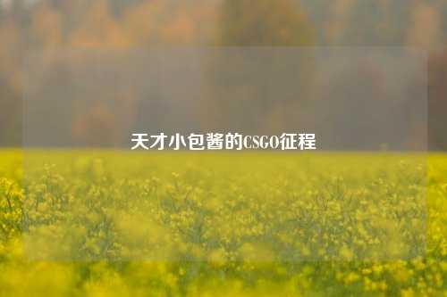 天才小包酱的CSGO征程