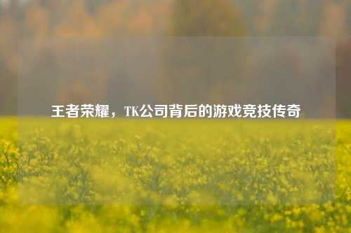 王者荣耀,TK公司背后的游戏竞技传奇