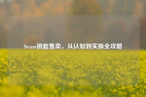 Steam钥匙售卖,从认知到实操全攻略