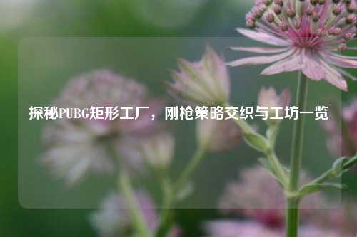 探秘PUBG矩形工厂，刚枪策略交织与工坊一览