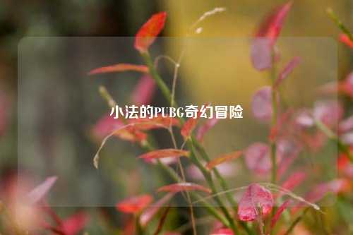 小法的PUBG奇幻冒险