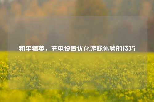 和平精英,充电设置优化游戏体验的技巧