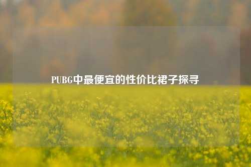 PUBG中最便宜的性价比裙子探寻