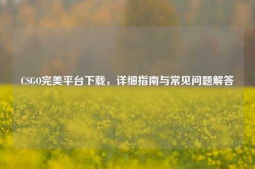 CSGO完美平台下载,详细指南与常见问题解答