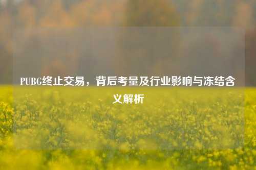 PUBG终止交易,背后考量及行业影响与冻结含义解析