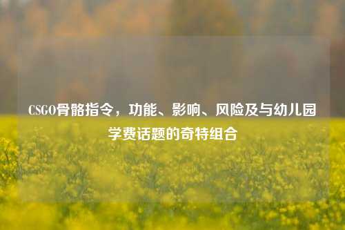 CSGO骨骼指令，功能、影响、风险及与幼儿园学费话题的奇特组合