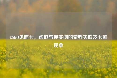 CSGO见面卡,虚拟与现实间的奇妙关联及卡顿现象