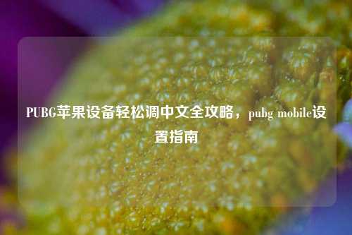 PUBG苹果设备轻松调中文全攻略,pubg mobile设置指南
