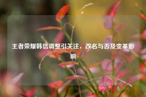 王者荣耀韩信调整引关注,改名与否及变革影响