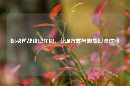 探秘逆战玫瑰庄园,获取方式与激战浪漫体验